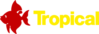 Logótipo com peixe vermelho e texto amarelo Tropical