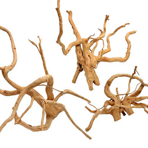 Três raízes de madeira natural com formas retorcidas