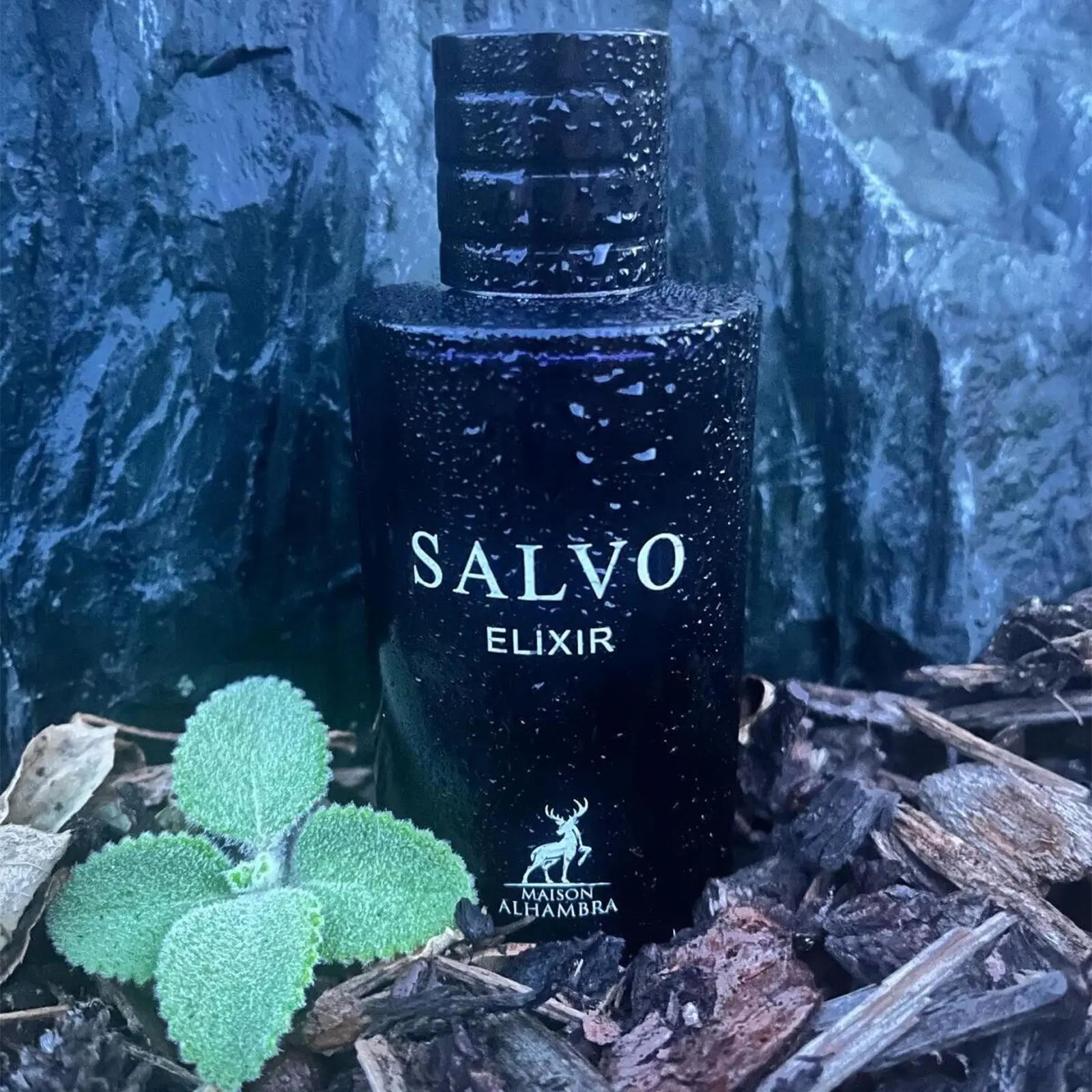 Frasco preto fosco SALVO ELIXIR MAISON ALHAMBRA sobre terra com folhas e madeira