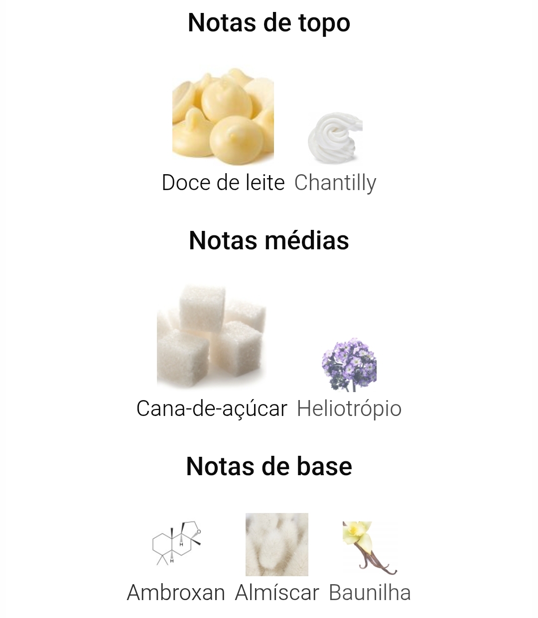 Ilustração de notas de perfume com imagens e texto de ingredientes