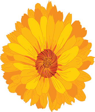 Flor amarela e laranja com centro vermelho claro