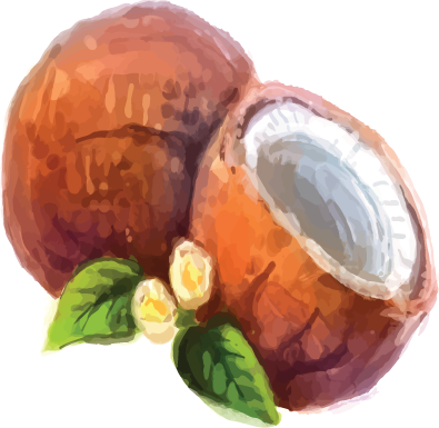 Coco inteiro e metade aberto com folhas verdes e flores amarelas