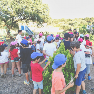 Crianças em ambiente exterior entre árvores e escorrega azul