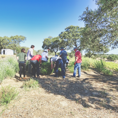 Grupo de pessoas em campo com arbustos e árvores sob céu azul