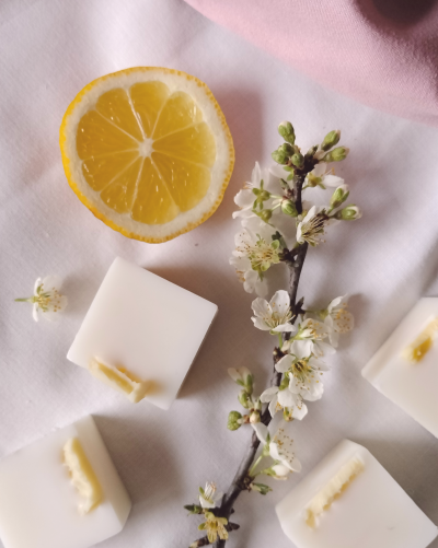 Blocos quadrados brancos com fatias de limão, rodela de limão e ramo flores brancas sobre tecido branco