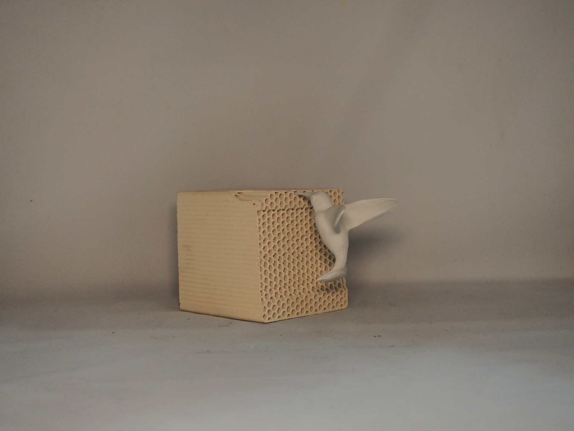 Caixa decorativa de cartão com pássaro branco