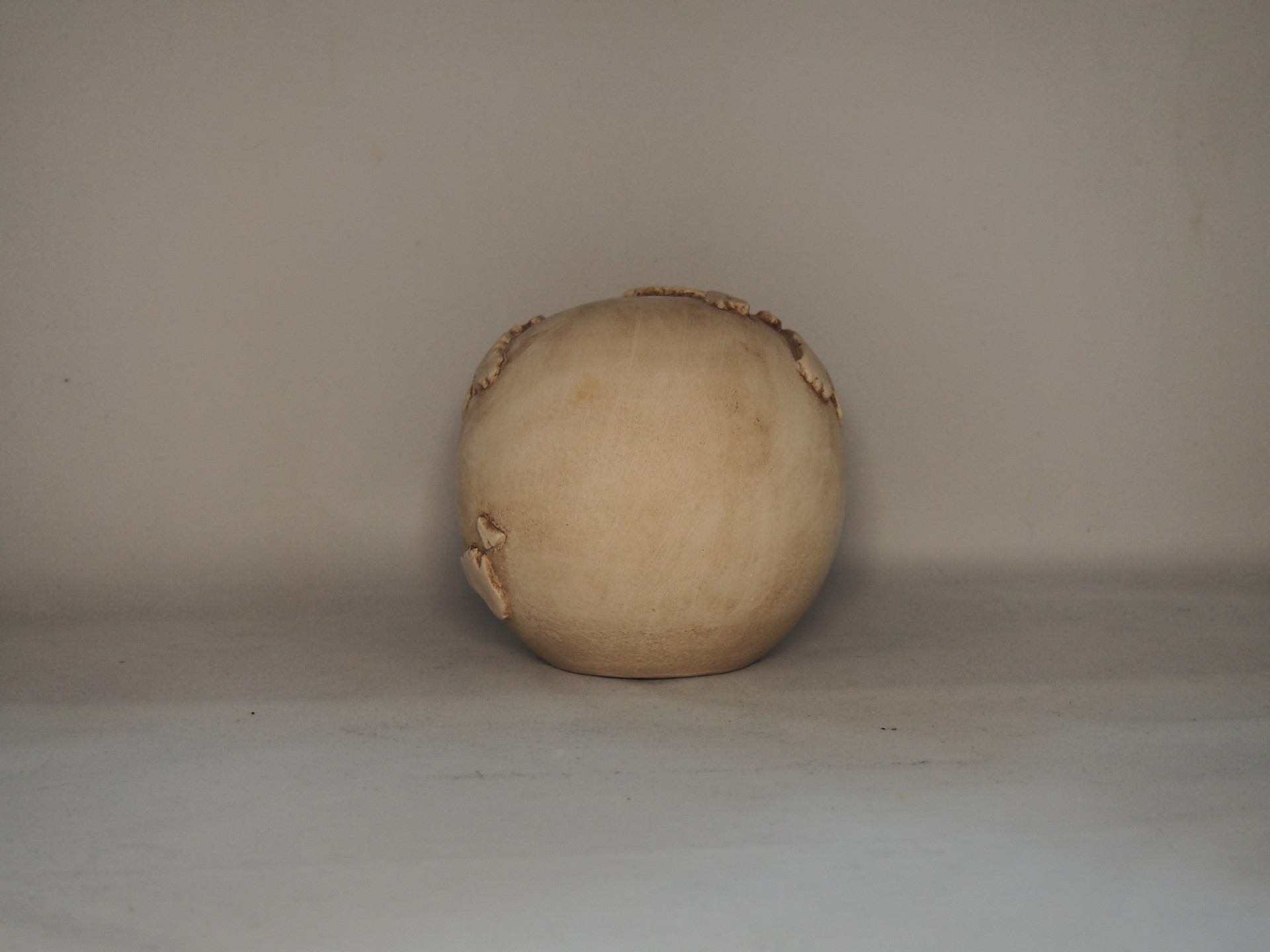 Cogumelo branco inteiro com manchas marrons em fundo neutro