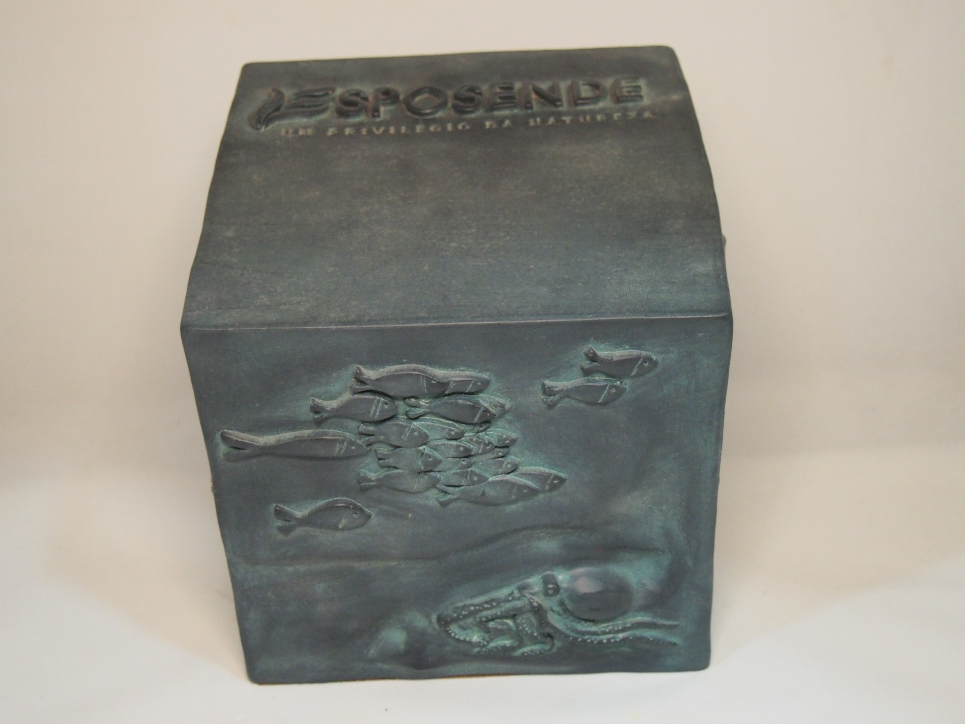 Bloco decorativo com relevo de peixes e crânio fossilizado, inscrição 'SPOSENDE O PRIVILEGIO DA NATUREZA'
