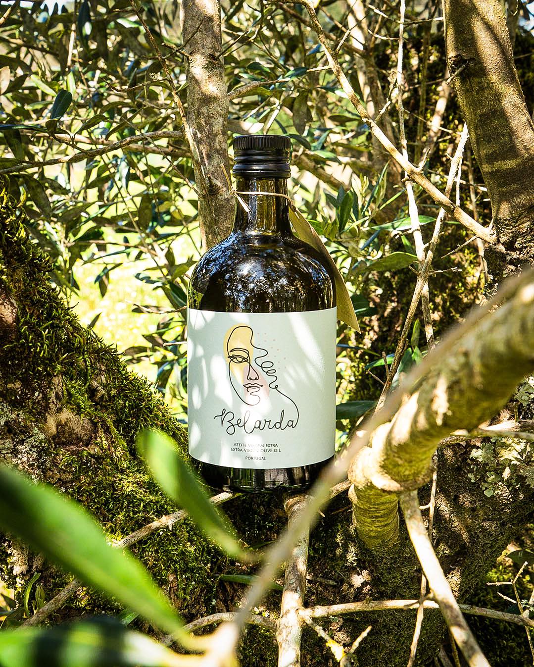 Garrafa verde escuro com rótulo branco e desenho minimalista apoiada em ramos de árvore