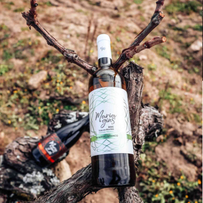 Duas garrafas de vinho num tronco de videira seca num campo