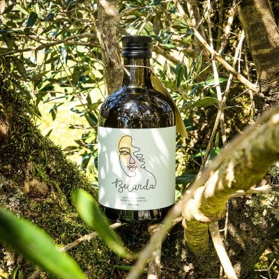 Garrafa verde escuro com rótulo branco e desenho minimalista apoiada em ramos de árvore