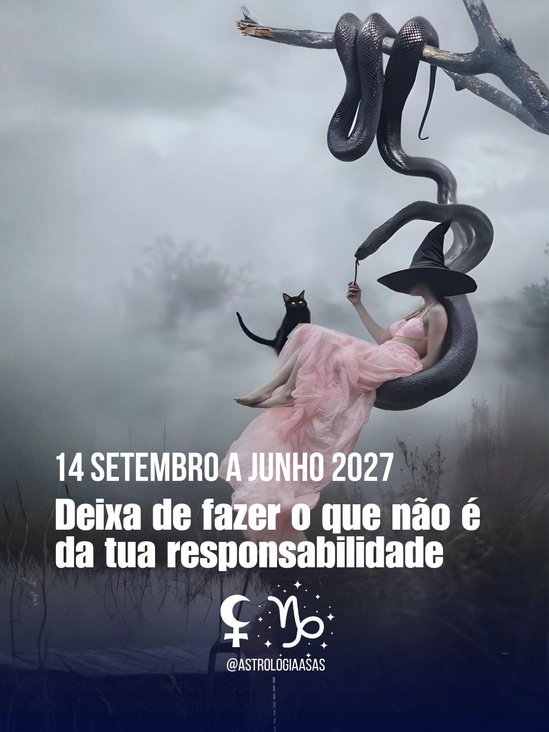 Mulher com vestido rosa e chapéu preto sentada em serpente preta em galho com gato preto