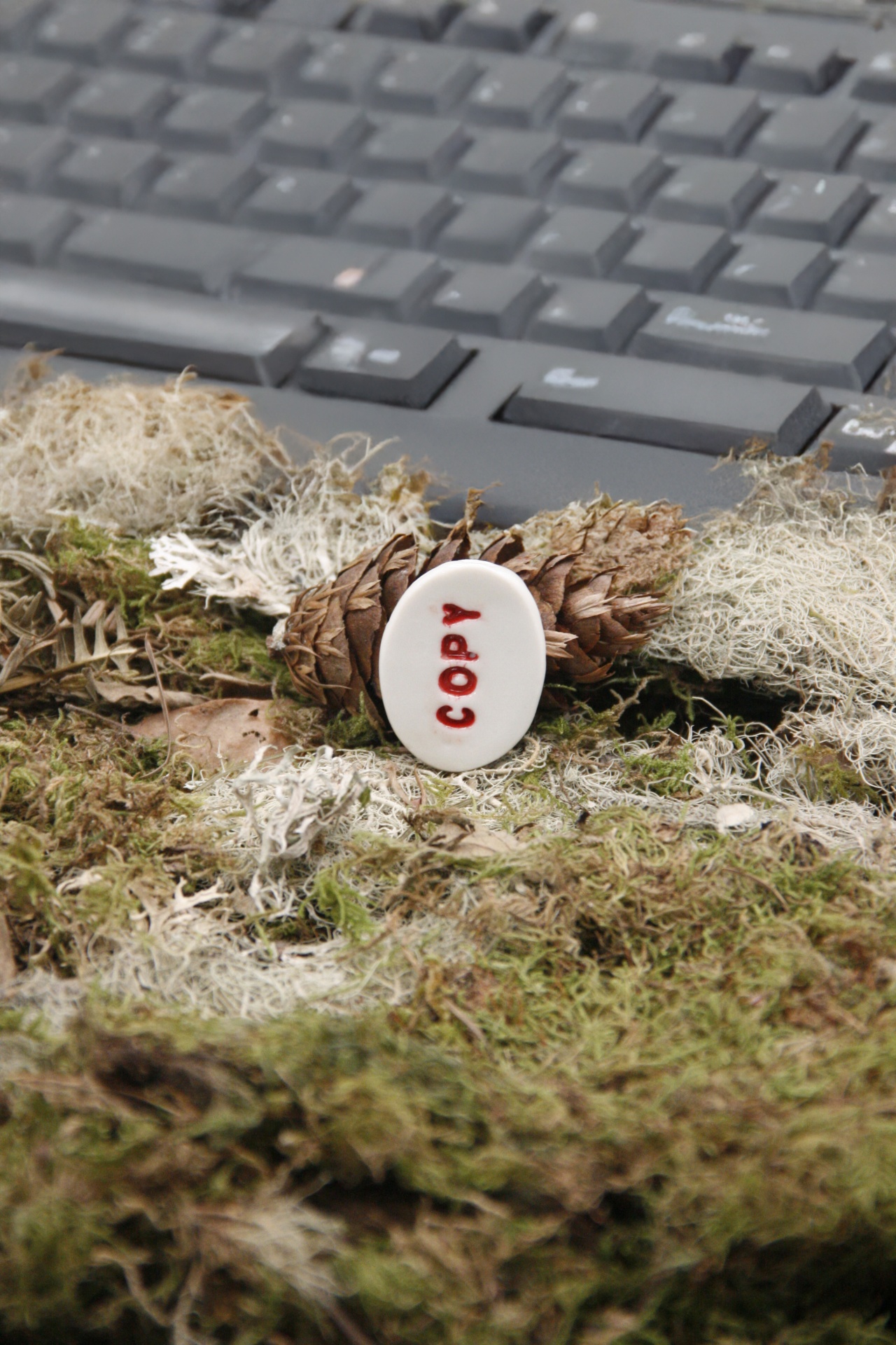 Copy Botão branco com a palavra COPY em vermelho sobre musgo e pinhas com teclado cinza ao fundo