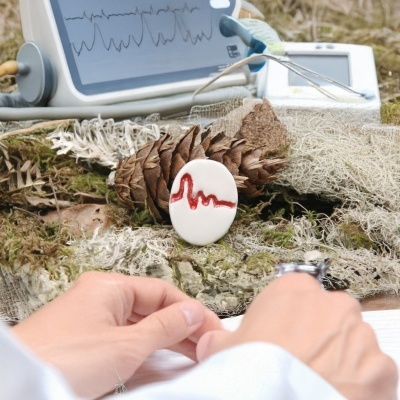 Monitor cardíaco com ecrã azul e linhas ECG junto a pinha e musgo em fundo natural
