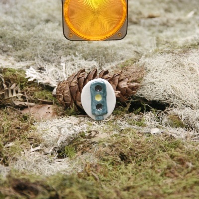 Luz amarela de aviso em suporte metálico sobre musgo e pinha