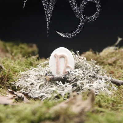 Runa cerâmica branca com símbolo rosa sobre musgo e líquen com símbolo astrológico prateado acima