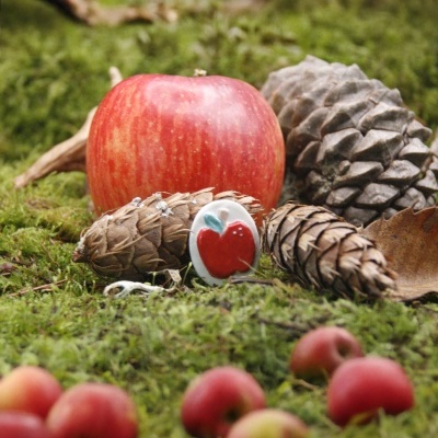 Maçã vermelha com pinhas e frutos vermelhos sobre musgo