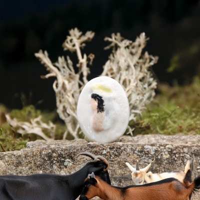 Cabras em terreno rochoso com objeto oval branco com figura humana