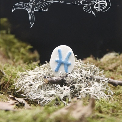 Anel com símbolo signo Peixes sobre musgo com ilustração de peixe em fundo escuro