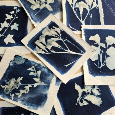 Workshops de Cianótipos.