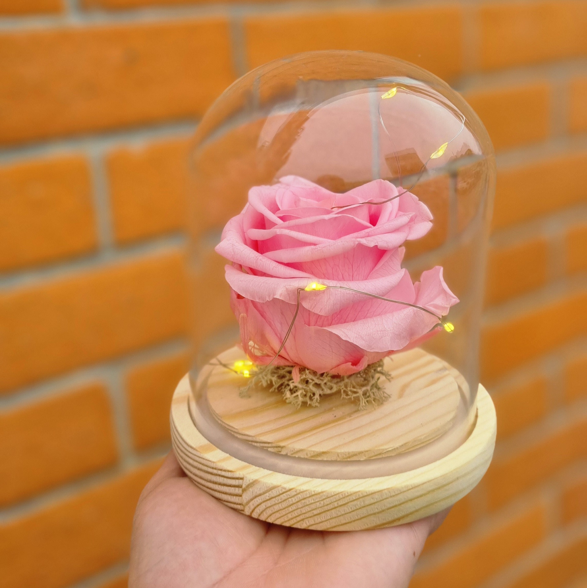 Rosa cor-de-rosa preservada numa redoma de vidro com base de madeira