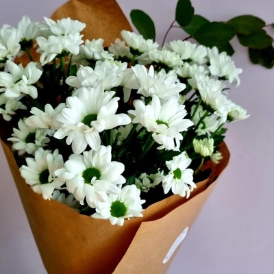 Ramo&#x20;de&#x20;Margaridas