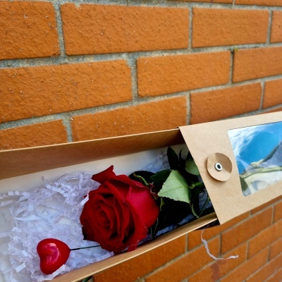 Caixa de oferta com rosa vermelha e enchimento branco sobre fundo de parede de tijolos alaranjados