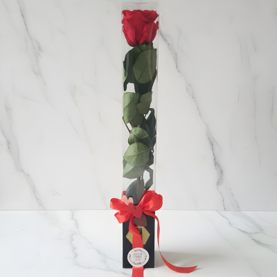 Rosa vermelha preservada em caixa acrílica com laço vermelho e base preta