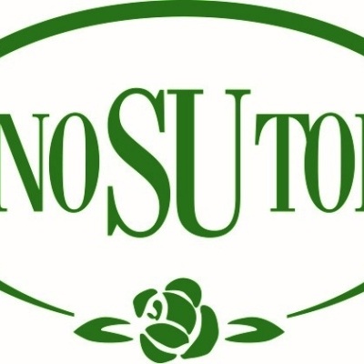 Logótipo verde TONO SU TONO com flor estilizada