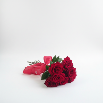 Ramo de rosas vermelhas amarradas com fita vermelha sobre fundo branco
