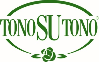 Logótipo verde TONO SU TONO com flor estilizada