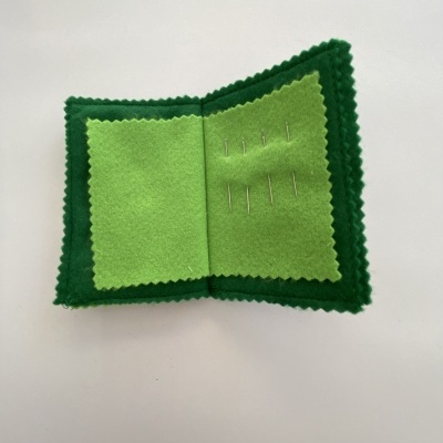 Estojo verde de feltro com agulhas sobre fundo branco