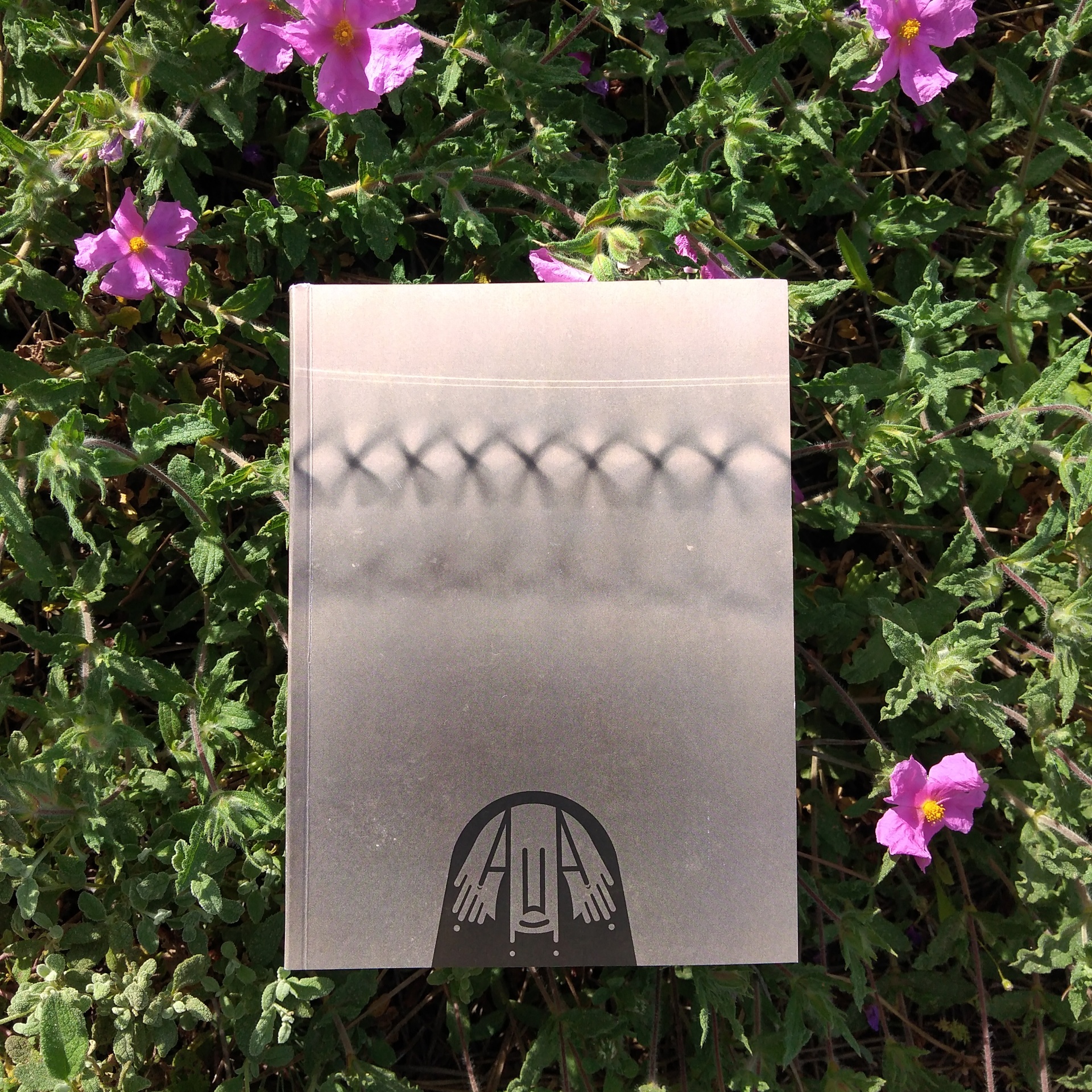 O teu diário de viagens preferido