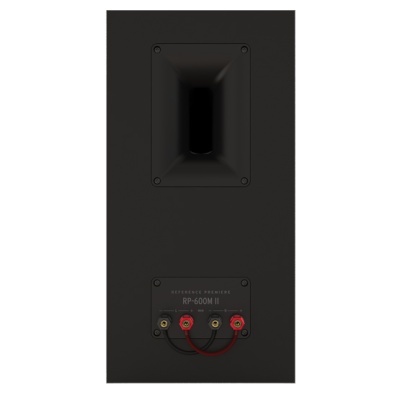 Coluna de som preta com entradas e terminais de conexão na parte traseira