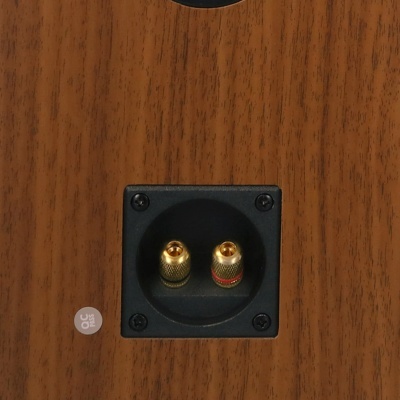 Conector duplo para coluna de áudio dourado com anilhas vermelhas e pretas numa superfície de madeira