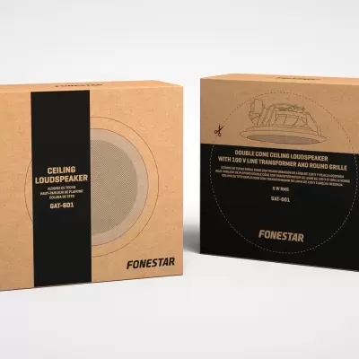 Duas caixas de loudspeakers FONESTAR castanhas com detalhes a preto