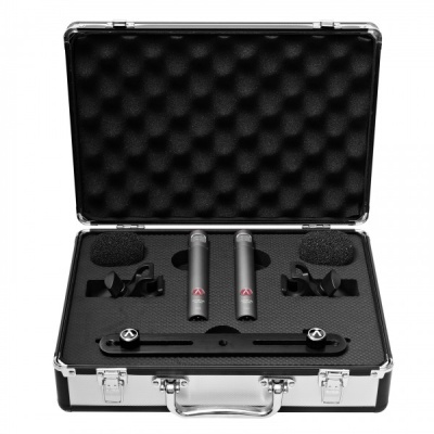 estojo com dois microfones, suportes e tampões de espuma