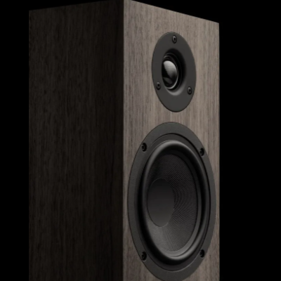 Coluna de som de madeira escura com tweeter e unidade de graves