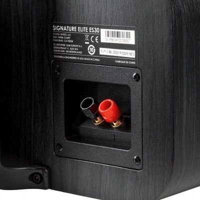 Coluna de som preta com conectores áudio vermelhos e pretos e etiqueta com texto