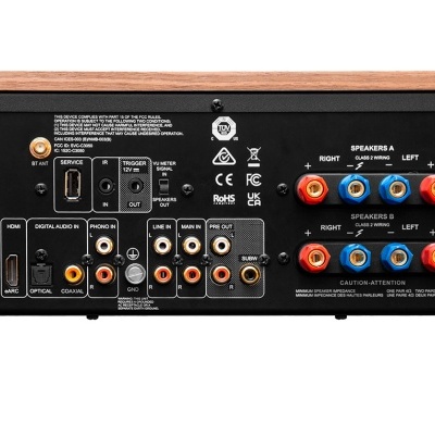 Amplificador de áudio edição limitada com conexões múltiplas na parte traseira e acabamento em madeira