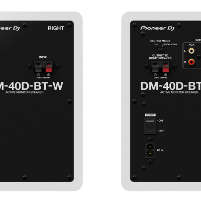 Traseira de duas colunas ativas Pioneer DJ DM-40D-BT-W preto com conexões RCA e conector AC
