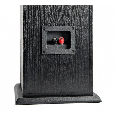 Coluna de som preta vista de trás com conetores de áudio preto e vermelho