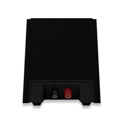 Componente áudio preto com acabamento madeira e dois conectores vermelho e preto