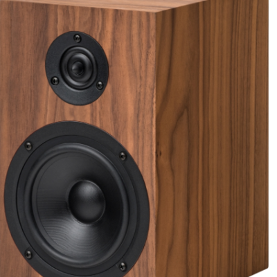 Coluna de som com acabamento em madeira castanha e dois altifalantes pretos
