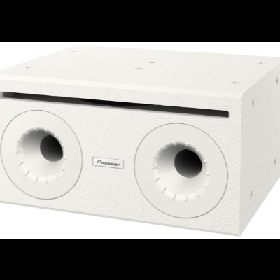 Coluna branca Pioneer com dois altifalantes circulares