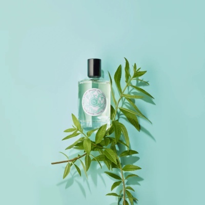 Frasco de colónia transparente com ramo verde sobre fundo azul claro