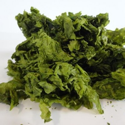 Alga verde seca sobre superfície branca