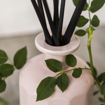 Difusor de aromas rosa com varetas pretas e folhas verdes