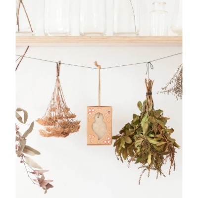Plantas secas e caixa decorativa penduradas em fio
