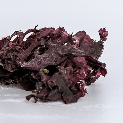 Algas secas roxas sobre superfície branca